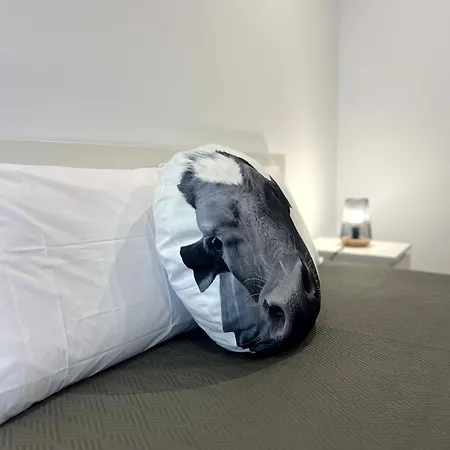 Sao Miguel Charming House 