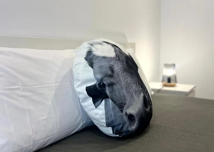 Sao Miguel Charming House 