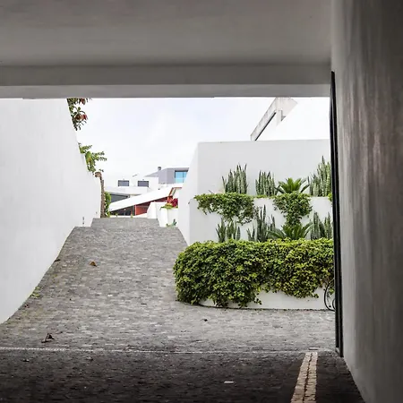 Sao Miguel Charming House Ii By Lfc Apts Apartment *